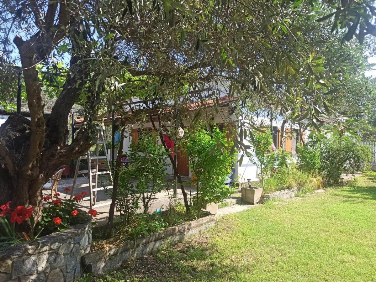 Zephyr Guest House 莱福卡斯特龙 外观 照片