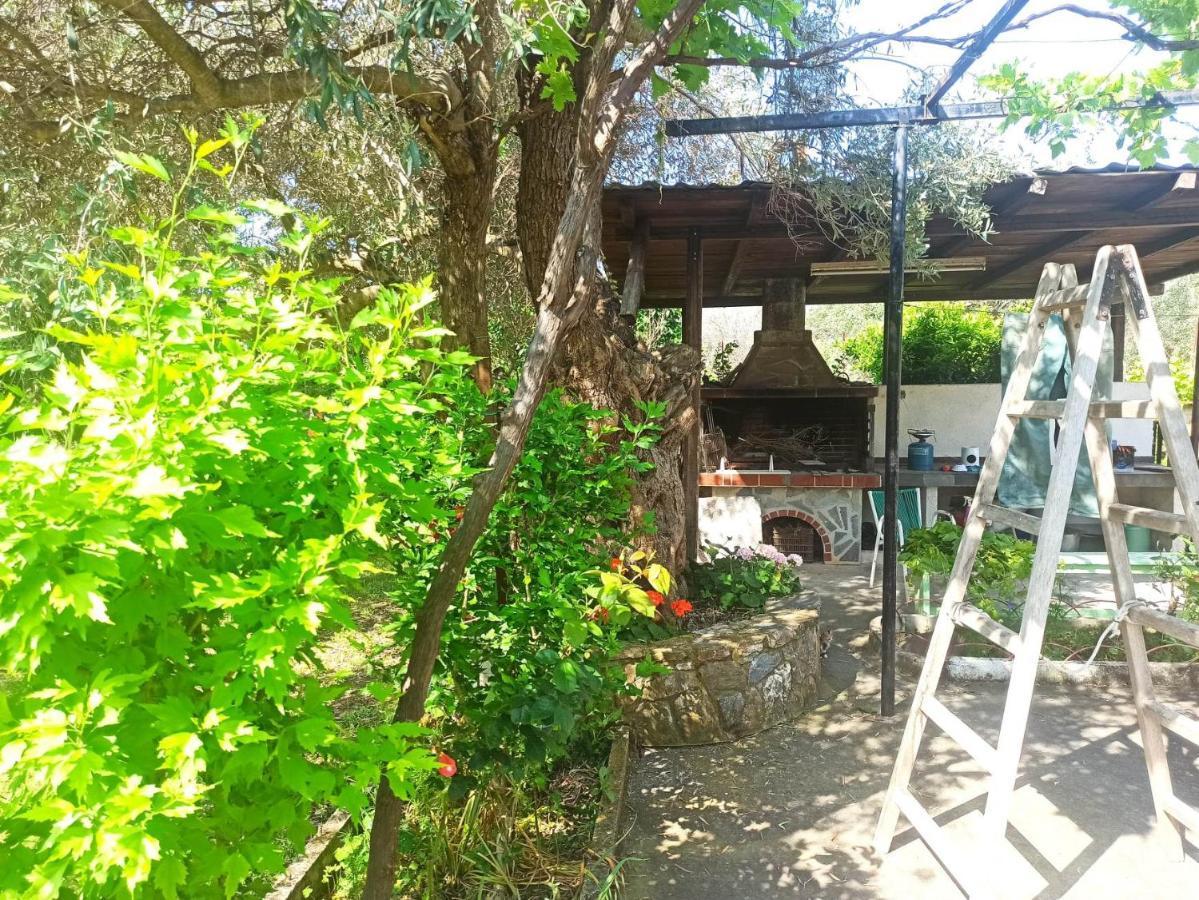 Zephyr Guest House 莱福卡斯特龙 外观 照片